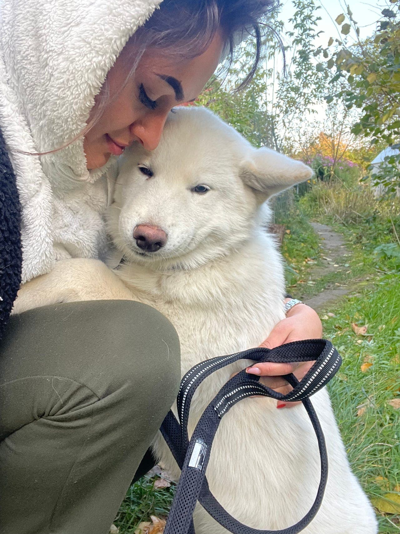 Snill og god Akita Inu med dokumenter og gode linjer søker nytt hjem ❤️